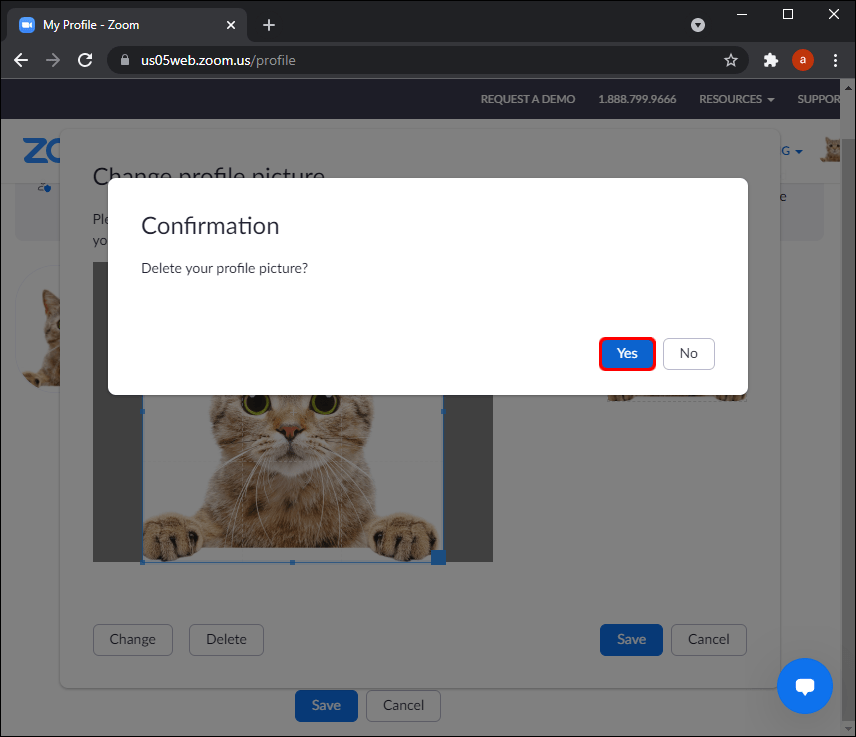 6 662d106c79efcd Comment supprimer une photo de profil Zoom