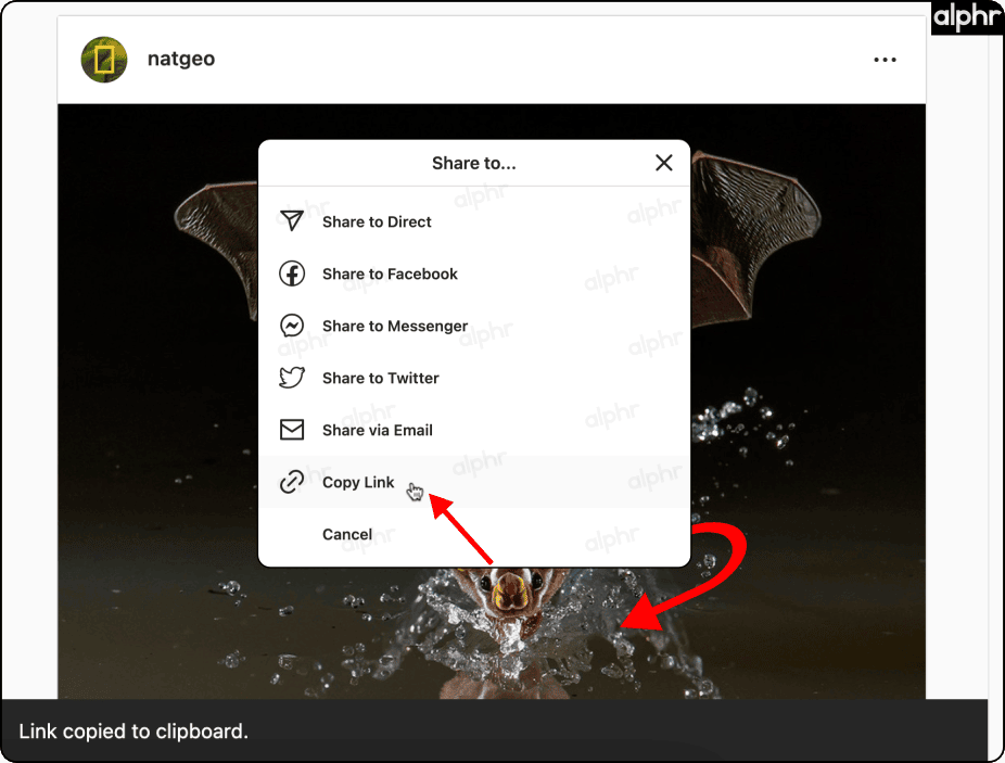 طريقة البحث عن عنوان URL أو رابط حساب انستقرام 40 62546cf193616 طريقة البحث عن عنوان URL أو رابط حساب انستقرام