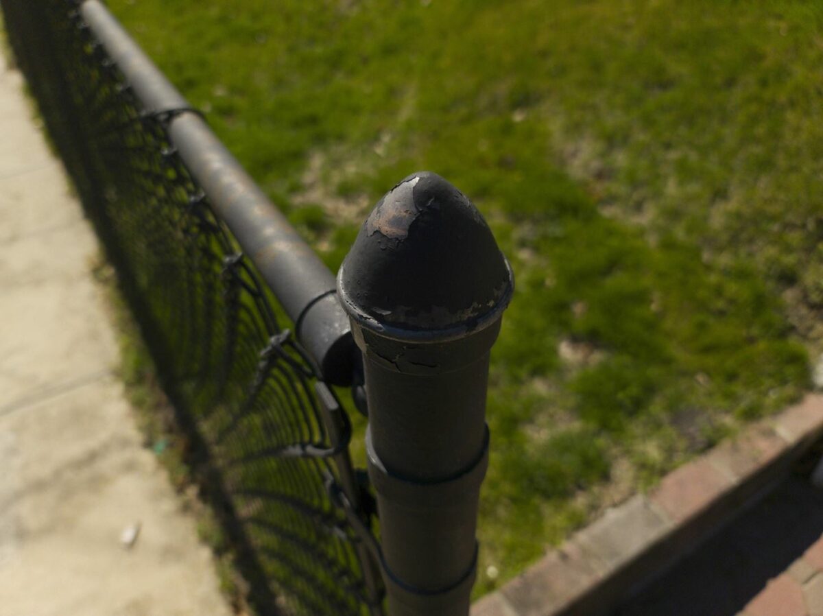 أفضل الإعدادات لاستخدامها في وضع Pro في تطبيق كاميرا Galaxy S20