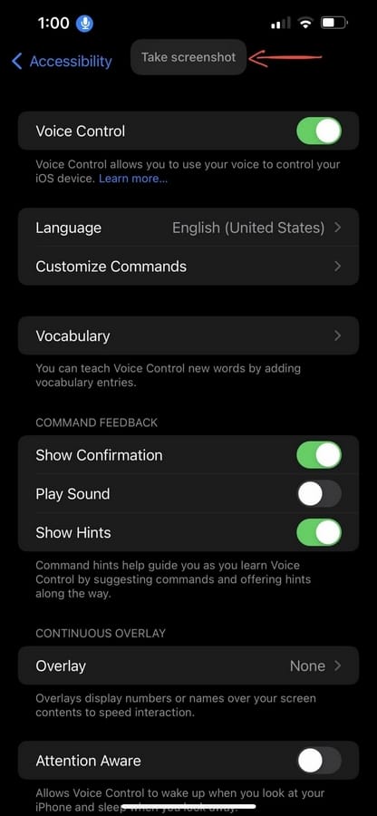 8 طرق لالتقاط لقطة شاشة على آيفون 13 أو 13 Mini أو 13 برو أو 13 برو ماكس