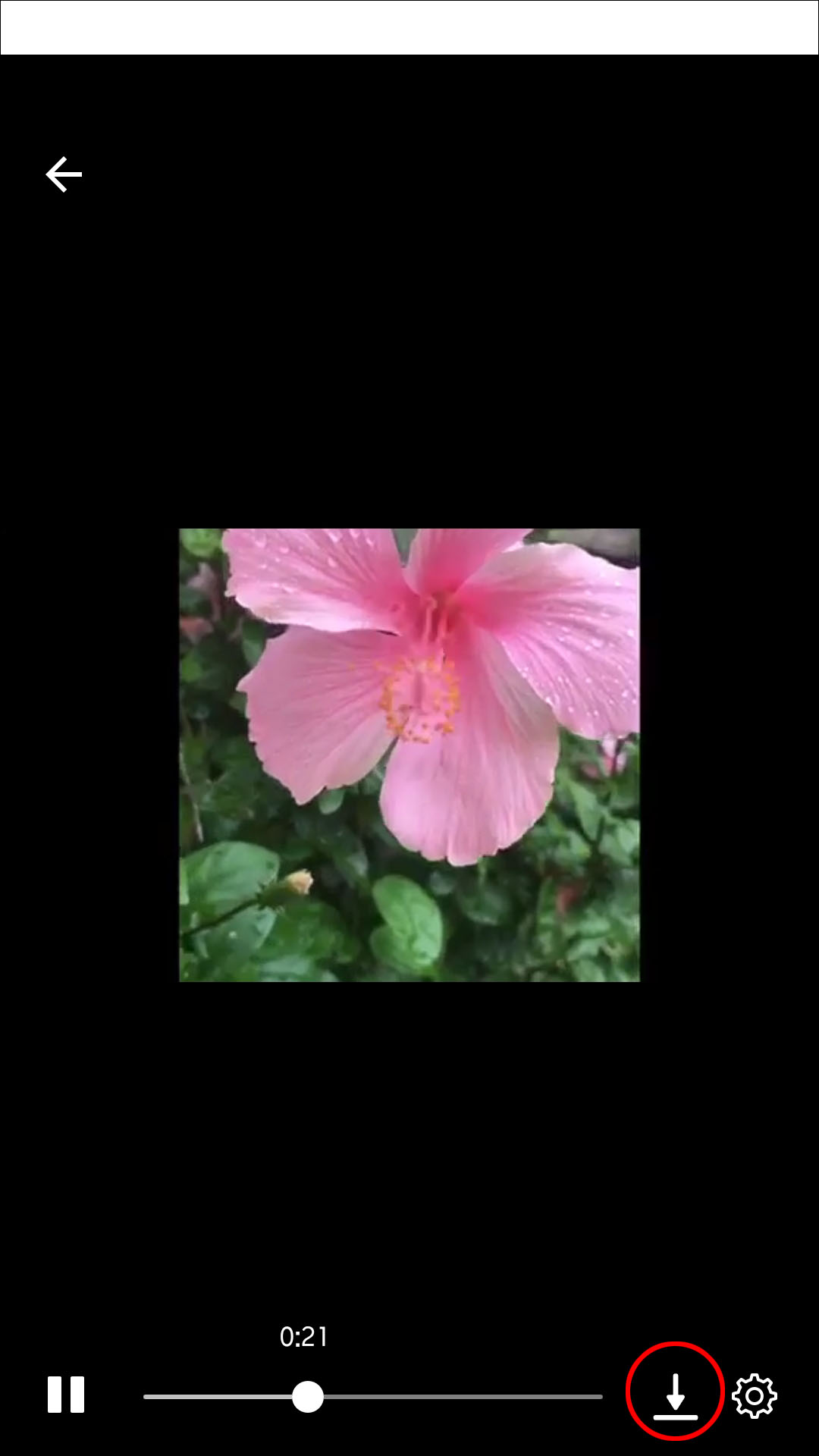 6282c9ee714ed طريقة إرسال مقطع فيديو في فيسبوك ماسنجر