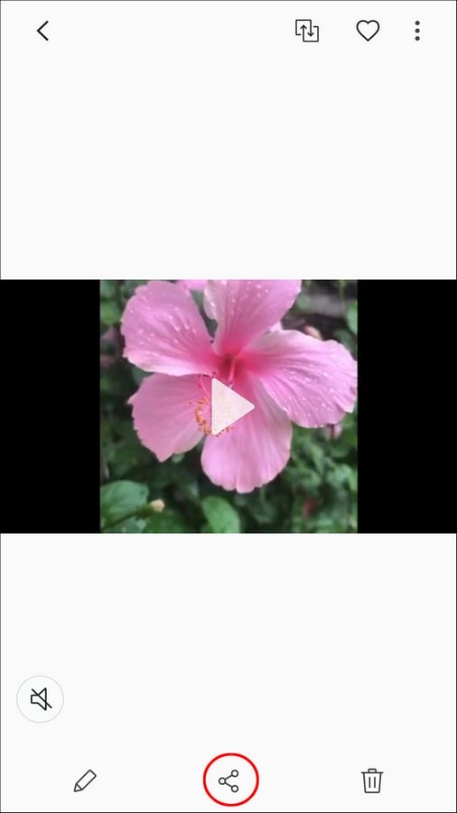 6282ca0d03a98 طريقة إرسال مقطع فيديو في فيسبوك ماسنجر