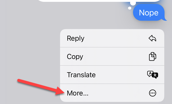 هل يمكن حذف الرسالة عند المستلم في iMessage؟ 14 اضغط على