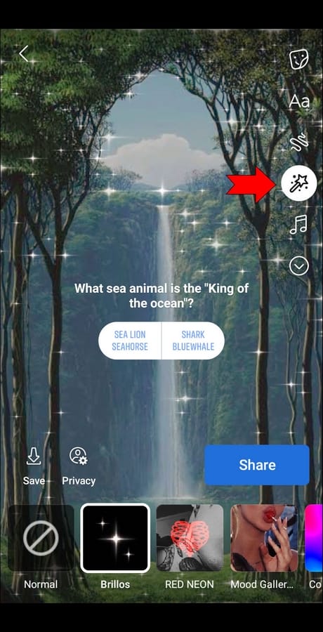 6292ad8061cfb طريقة إنشاء قصة على فيسبوك على الكمبيوتر أو آيفون أو أندرويد