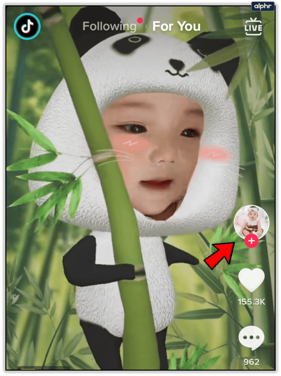 62981d04e03bb كيف تجد مقاطع الفيديو المفضلة لديك على تيك توك