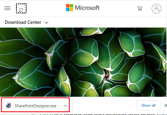 قم بتشغيل الملف القابل للتنفيذ