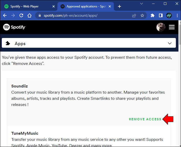 Remove access 5 1 Comment récupérer un compte Spotify qui a été piraté ?