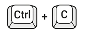 Comment décocher tout dans Notion 20 ctrl c 1 Comment décocher tout dans Notion