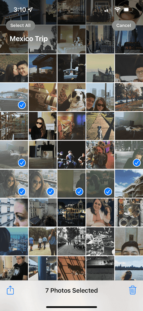 iphone library - all photos