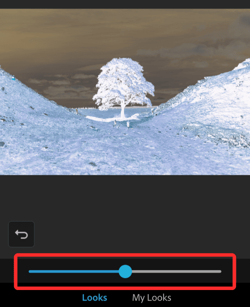 iPhone'da Bir Resmi Geçici veya Kalıcı Olarak Renk Tersine Çevirme 19 invert a picture on iphone 28 a 1 iPhone'da Bir Resmi Geçici veya Kalıcı Olarak Renk Tersine Çevirme
