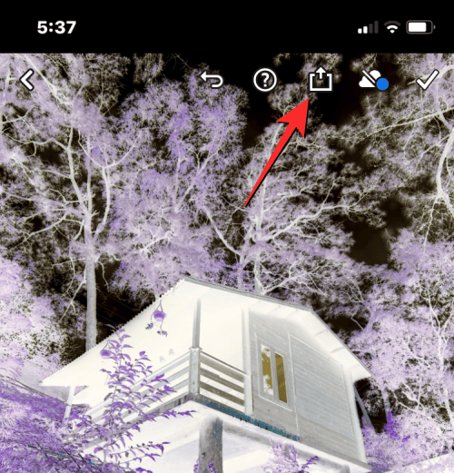 iPhone'da Bir Resmi Geçici veya Kalıcı Olarak Renk Tersine Çevirme 34 invert a picture on iphone 53 a 1 iPhone'da Bir Resmi Geçici veya Kalıcı Olarak Renk Tersine Çevirme