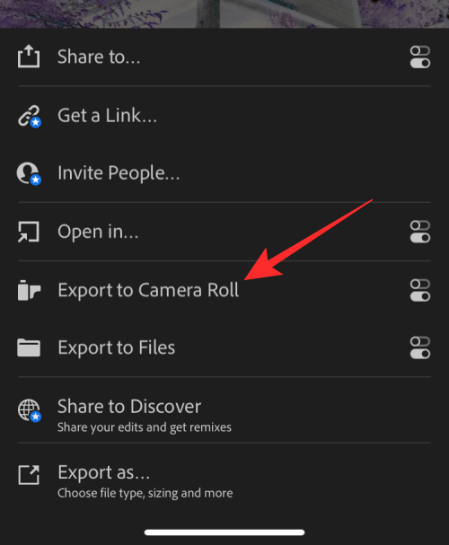 iPhone'da Bir Resmi Geçici veya Kalıcı Olarak Renk Tersine Çevirme 35 invert a picture on iphone 54 a 1 iPhone'da Bir Resmi Geçici veya Kalıcı Olarak Renk Tersine Çevirme