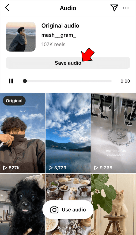 iOS 3 حل مشكلة عدم توفر الأغنية في انستقرام ريلز