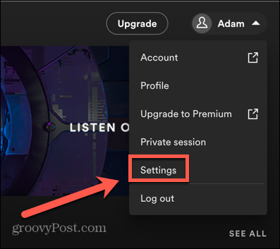 spotify settings