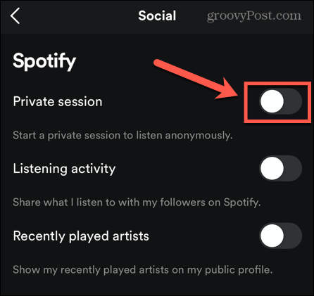 spotify mobile private session