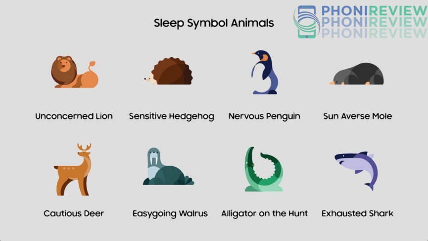 التدريب على النوم