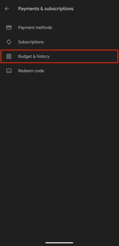 selecting budget & history under play store settings