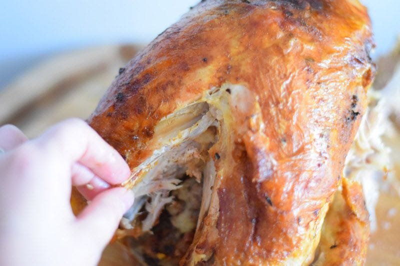 إزالة عظم الترقوة من الديك الرومي