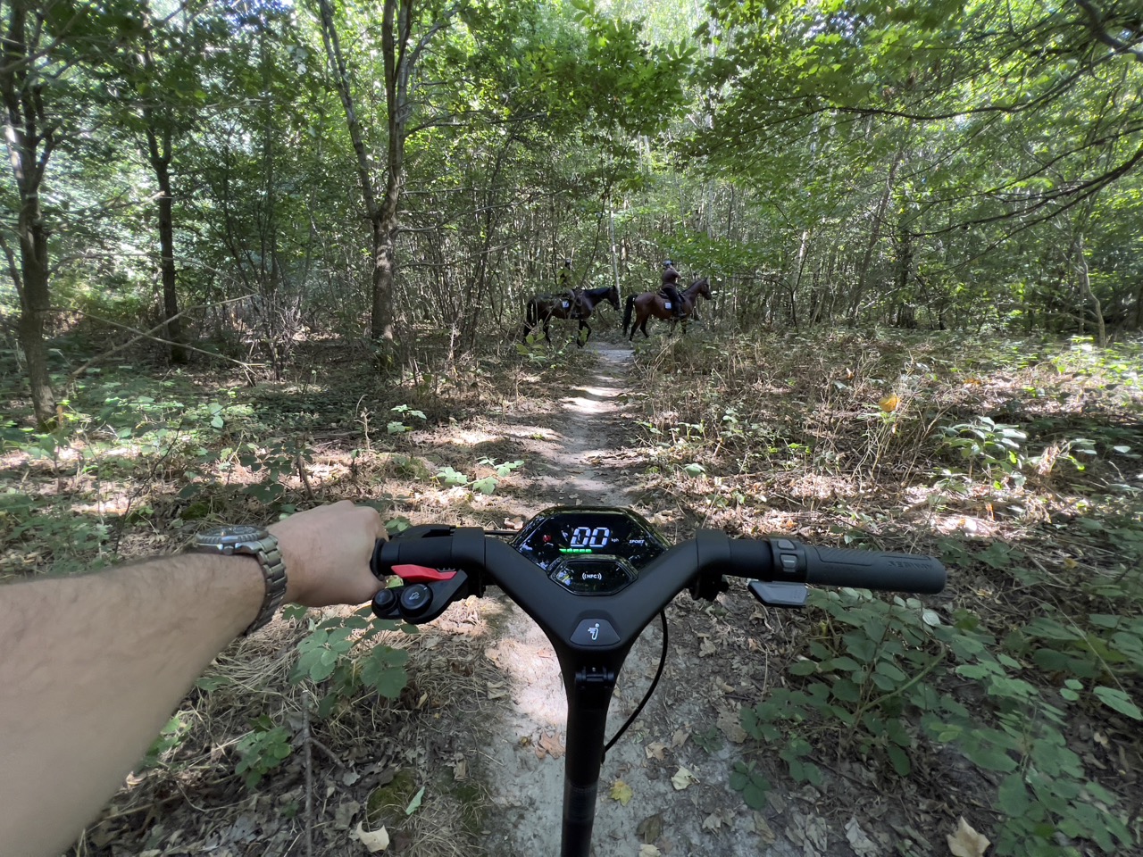 img 6334 grande.jpeg6435bd07c7c5e Ninebot KickScooter P65E Review: Electric Scooter Checks All Boxes