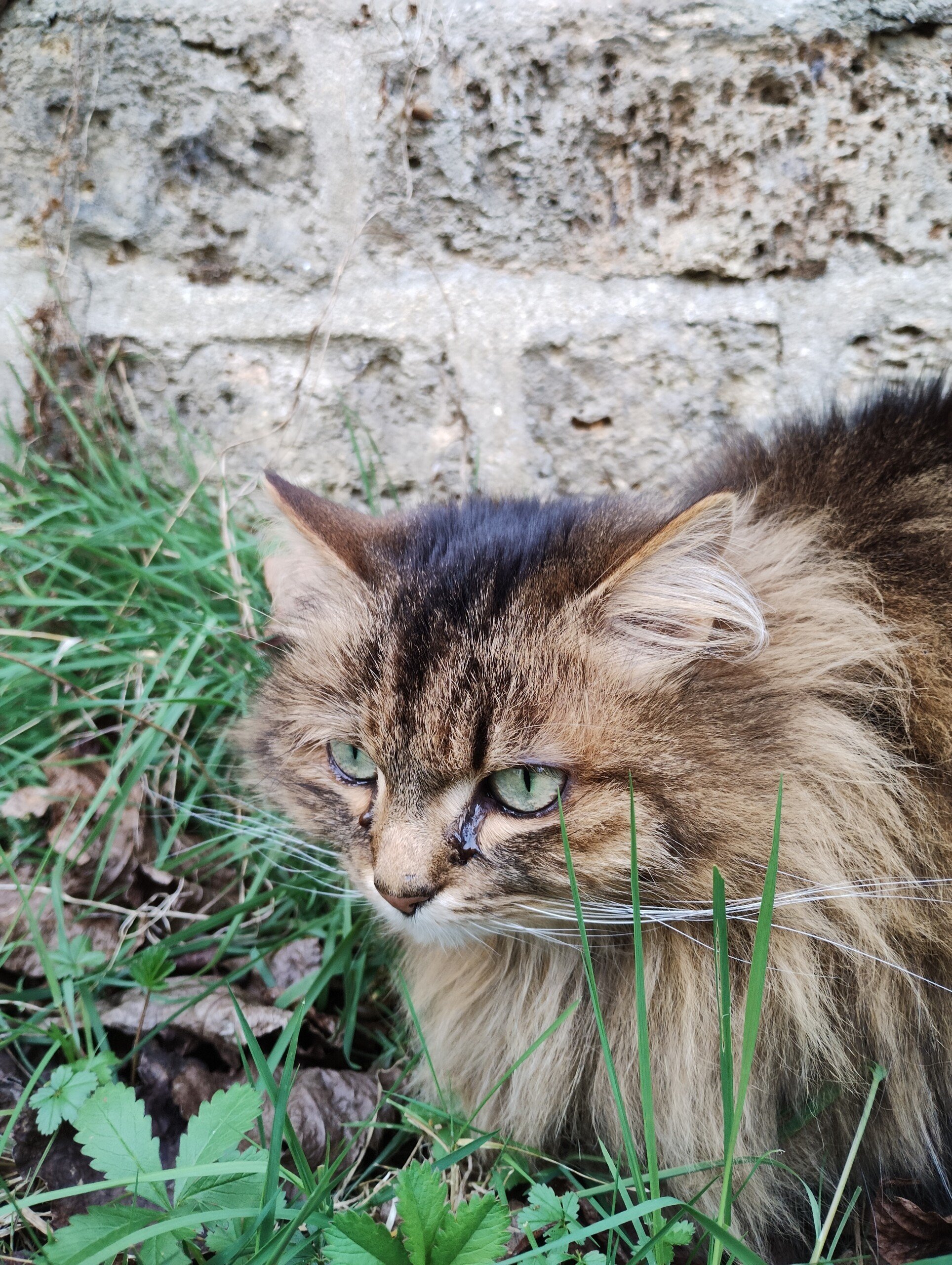 motorola g53 capteur principal 3 scaled.jpg6433605fa66d5 Motorola Moto G53 Review: Affordable 5G with some compromises