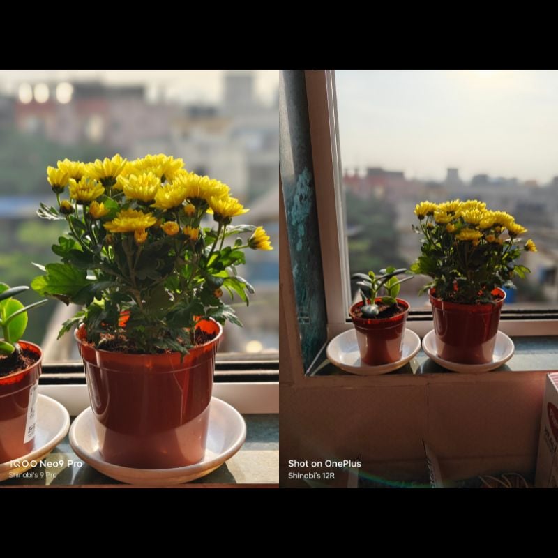 OnePlus 12R vs iQOO Neo 9 Pro: معركة القتلة الرائدين في عالم الهواتف الذكية 31 وضع عمودي